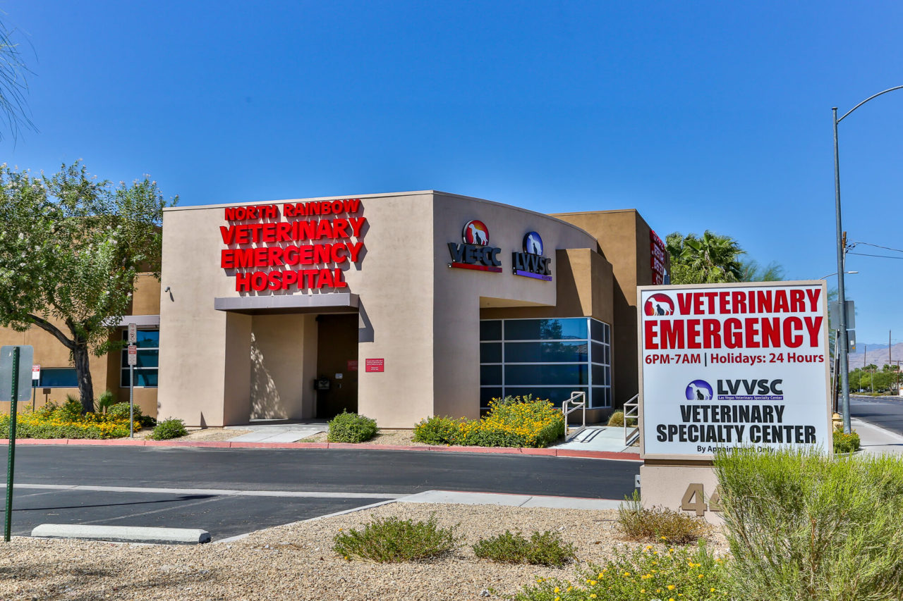 The Nave Veterinary Group Hospital Locations Las Vegas Veterinarians